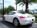 Carrara White - Cayman  Photo No. 8
