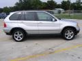 2003 Titanium Silver Metallic BMW X5 3.0i  photo #2