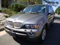 Sterling Grey Metallic - X5 3.0i Photo No. 1