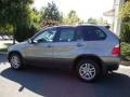 Sterling Grey Metallic - X5 3.0i Photo No. 2