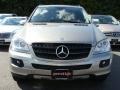 Pewter Metallic - ML 350 4Matic Photo No. 2