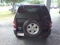 Black Clearcoat - Liberty Sport 4x4 Photo No. 4