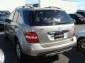 Pewter Metallic - ML 350 4Matic Photo No. 6