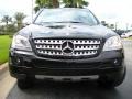 Black - ML 350 4Matic Photo No. 3