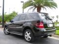 Black - ML 350 4Matic Photo No. 8