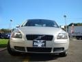 Electric Silver Metallic - S40 2.4i Photo No. 2