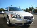 Electric Silver Metallic - S40 2.4i Photo No. 14