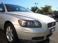 Electric Silver Metallic - S40 2.4i Photo No. 22