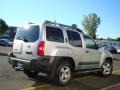 Silver Lightning Metallic - Xterra SE 4x4 Photo No. 11