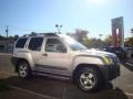 Silver Lightning Metallic - Xterra SE 4x4 Photo No. 13