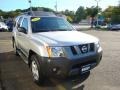 Silver Lightning Metallic - Xterra SE 4x4 Photo No. 15