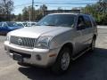Silver Birch Metallic - Mountaineer Convenience AWD Photo No. 2