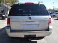 Silver Birch Metallic - Mountaineer Convenience AWD Photo No. 6