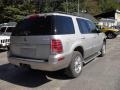Silver Birch Metallic - Mountaineer Convenience AWD Photo No. 7