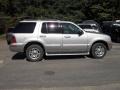 Silver Birch Metallic - Mountaineer Convenience AWD Photo No. 8