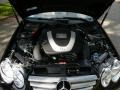 2008 Black Mercedes-Benz CLK 350 Coupe  photo #12
