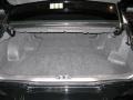 2004 Black Clearcoat Lincoln LS V8  photo #12