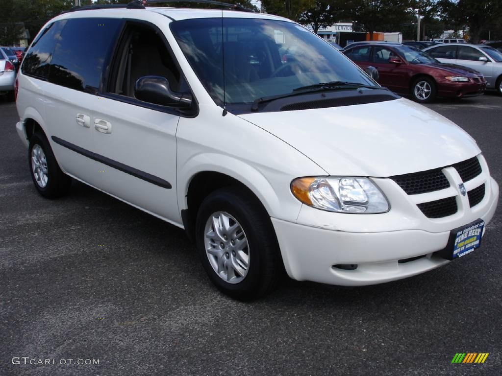 2002 Caravan Sport - Stone White / Taupe photo #2