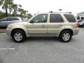 2007 Dune Pearl Metallic Ford Escape Limited  photo #2
