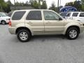 2007 Dune Pearl Metallic Ford Escape Limited  photo #13