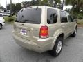 2007 Dune Pearl Metallic Ford Escape Limited  photo #14