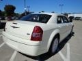 Cool Vanilla White - 300 Touring Photo No. 3