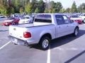 2001 Silver Metallic Ford F150 XLT SuperCrew  photo #5