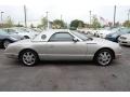 Platinum Silver Metallic - Thunderbird Premium Roadster Photo No. 13