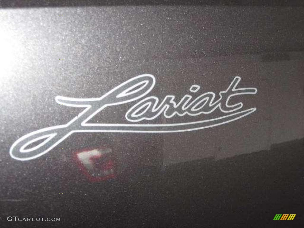 2003 F150 Lariat SuperCrew 4x4 - Dark Shadow Grey Metallic / Medium Graphite Grey photo #6