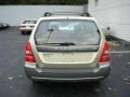 Sierra Gold Metallic - Forester 2.5 XS Photo No. 3