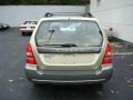 2004 Sierra Gold Metallic Subaru Forester 2.5 XS  photo #3