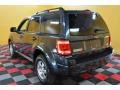 2008 Black Pearl Slate Metallic Ford Escape Limited 4WD  photo #4