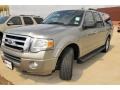 2009 Vapor Silver Metallic Ford Expedition EL XLT 4x4  photo #1