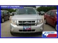 2010 Ingot Silver Metallic Ford Escape XLT  photo #2