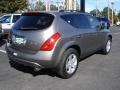 Polished Pewter Metallic - Murano SL AWD Photo No. 4