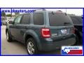 2010 Steel Blue Metallic Ford Escape XLT  photo #4