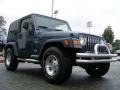 2002 Steel Blue Pearl Jeep Wrangler X 4x4  photo #7