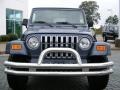 2002 Steel Blue Pearl Jeep Wrangler X 4x4  photo #8