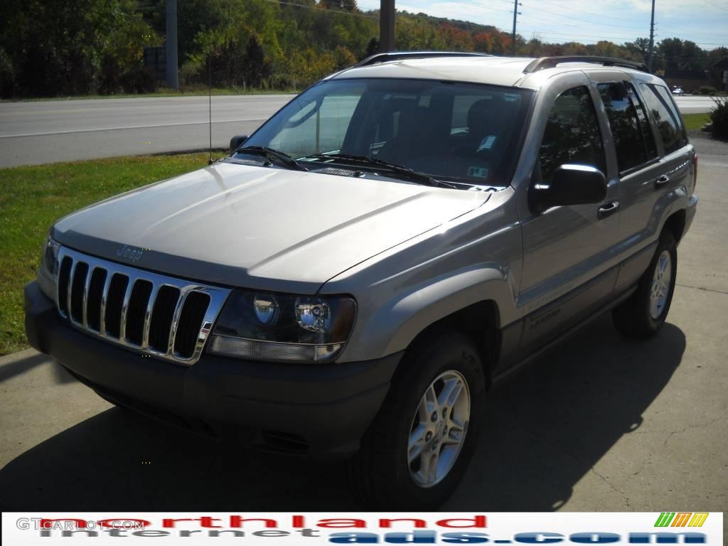 2003 Grand Cherokee Laredo 4x4 - Light Pewter Metallic / Dark Slate Gray photo #14
