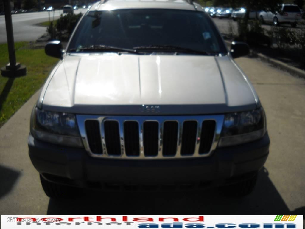 2003 Grand Cherokee Laredo 4x4 - Light Pewter Metallic / Dark Slate Gray photo #15