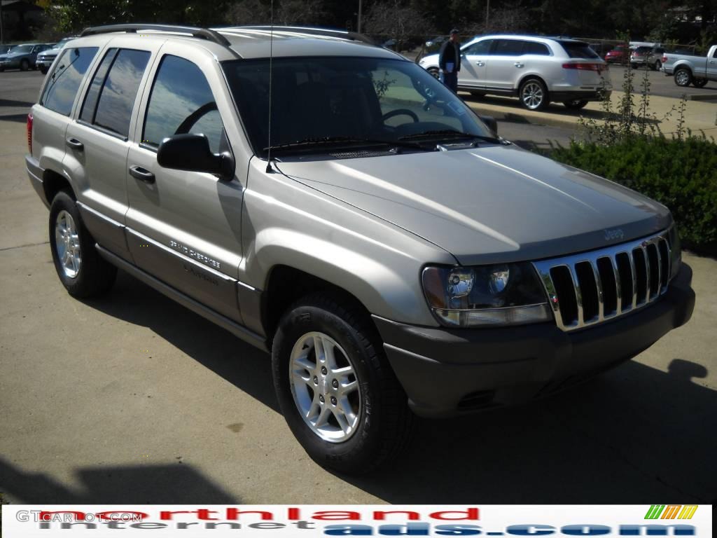 2003 Grand Cherokee Laredo 4x4 - Light Pewter Metallic / Dark Slate Gray photo #16