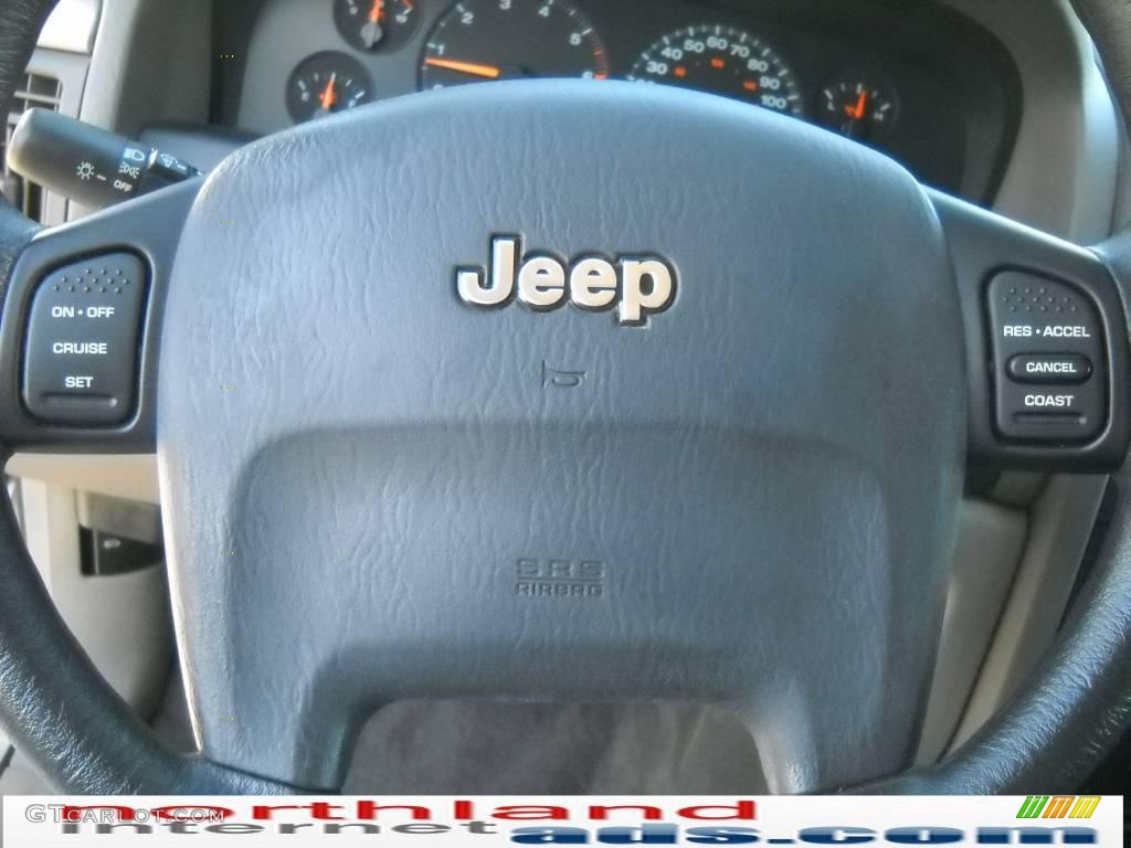 2003 Grand Cherokee Laredo 4x4 - Light Pewter Metallic / Dark Slate Gray photo #19