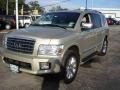 Serengeti Sand - QX 56 4WD Photo No. 1