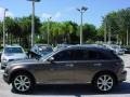 2007 Beryllium 16 Metallic Infiniti FX 35  photo #7