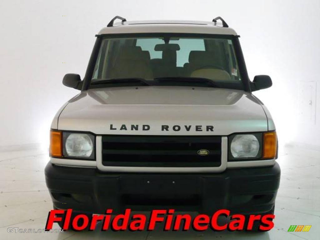 2001 Discovery II SD - Blenheim Silver Metallic / Bahama Beige photo #5