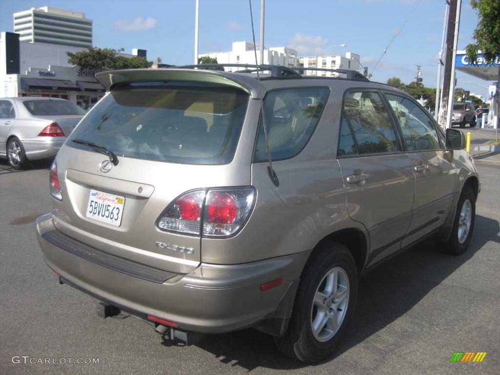 2003 RX 300 AWD - Burnished Gold Metallic / Ivory photo #3