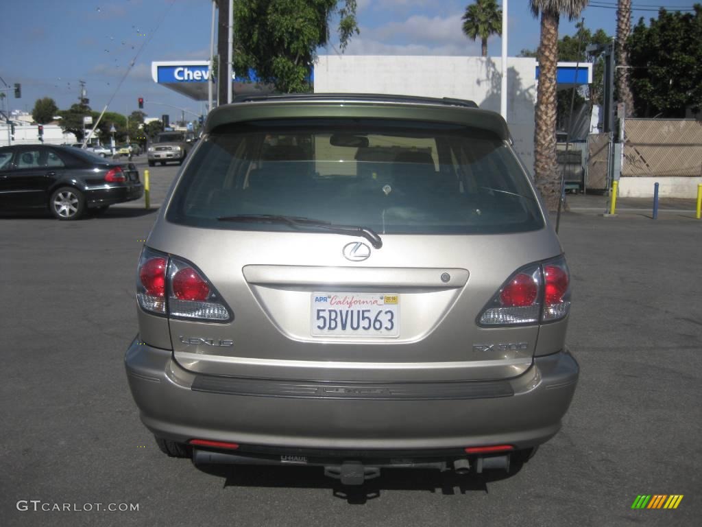 2003 RX 300 AWD - Burnished Gold Metallic / Ivory photo #4