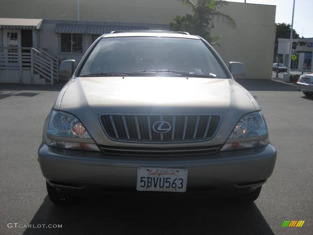 2003 RX 300 AWD - Burnished Gold Metallic / Ivory photo #7