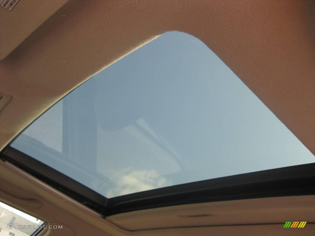 2003 RX 300 AWD - Burnished Gold Metallic / Ivory photo #26