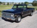 1971 Black Chevrolet C/K C10 Series Cheyenne  photo #6